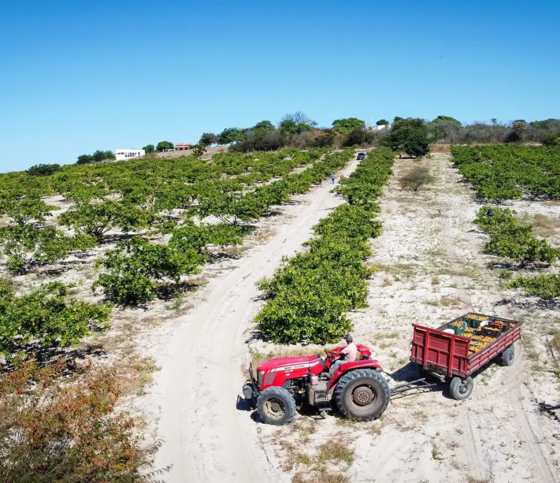 DJI_0928 (1)