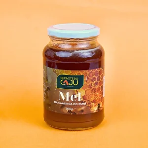 MEL DA CAATINGA DO PIAUÍ 700G